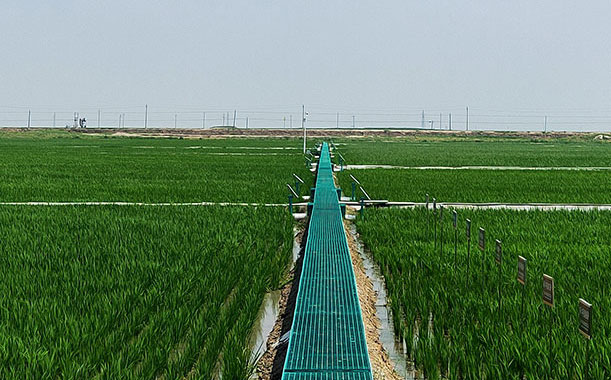 12月1日不銹鋼波紋管原材料不銹鋼卷板價格行情